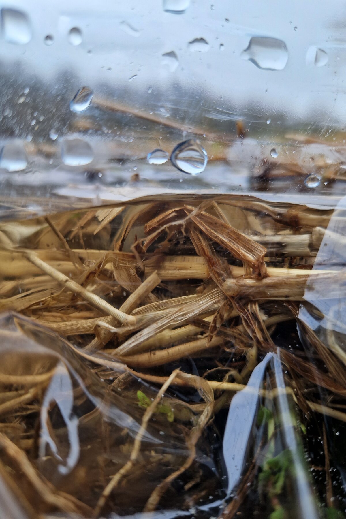 Instructions on how to catch a breath of air in a vacuum
