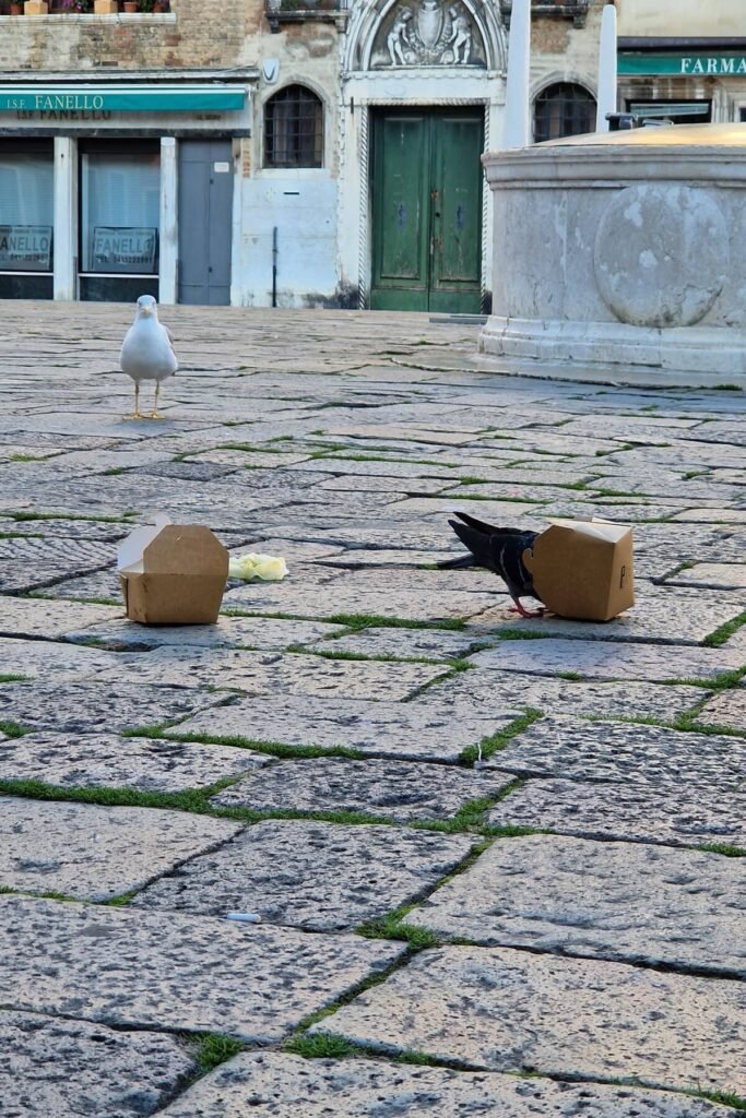 Crumbs of the Biennale. 2022 11, Venice, Italy, From the series IDLE GAZE